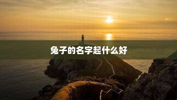 兔子的名字起什么好