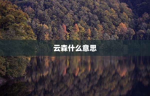 云森什么意思