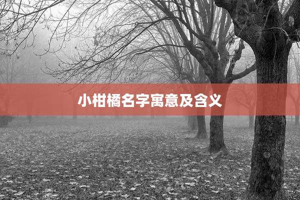 小柑橘名字寓意及含义