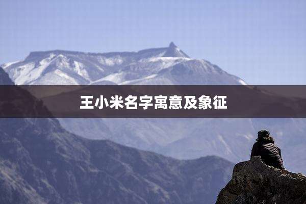 王小米名字寓意及象征