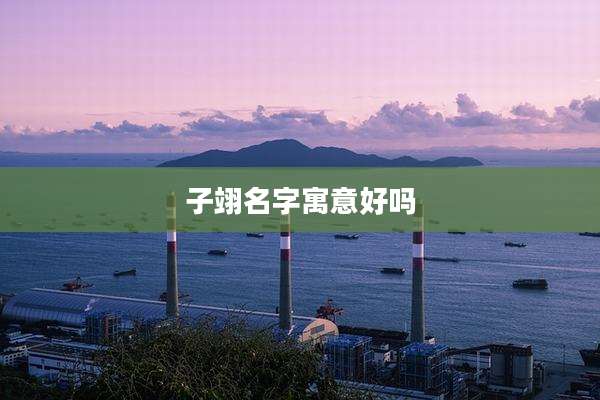 子翊名字寓意好吗