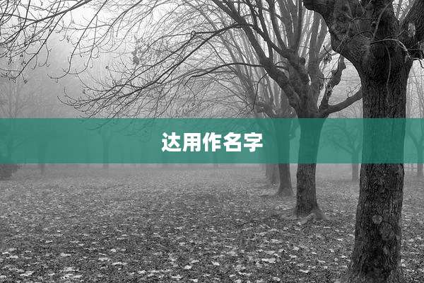 达用作名字