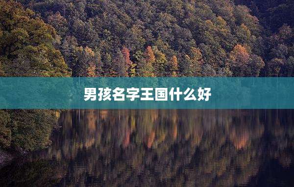 男孩名字王国什么好