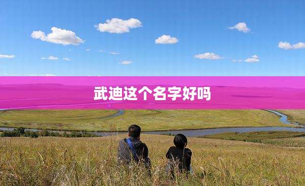 武迪这个名字好吗