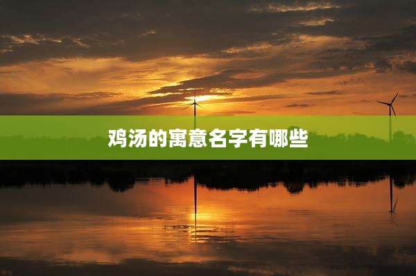 鸡汤的寓意名字有哪些