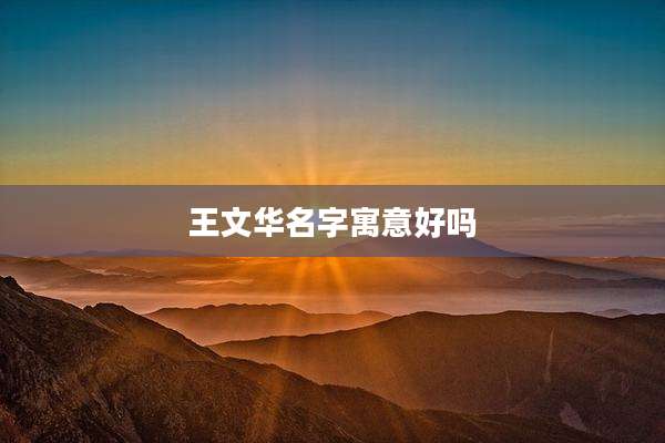 王文华名字寓意好吗