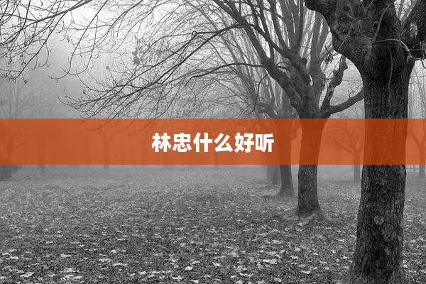 林忠什么好听