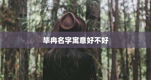 毕冉名字寓意好不好