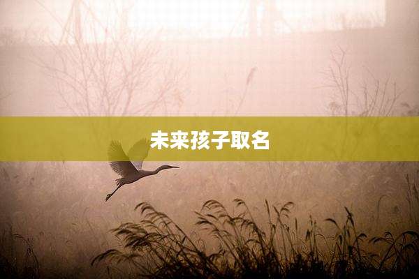 未来孩子取名