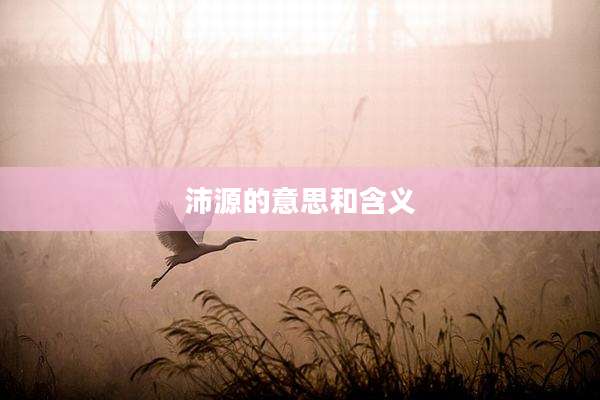 沛源的意思和含义