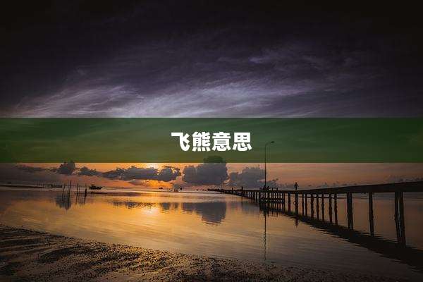 飞熊意思