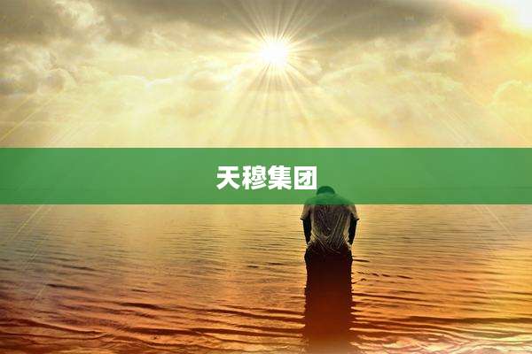 天穆集团