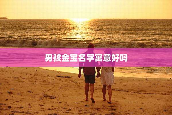 男孩金宝名字寓意好吗
