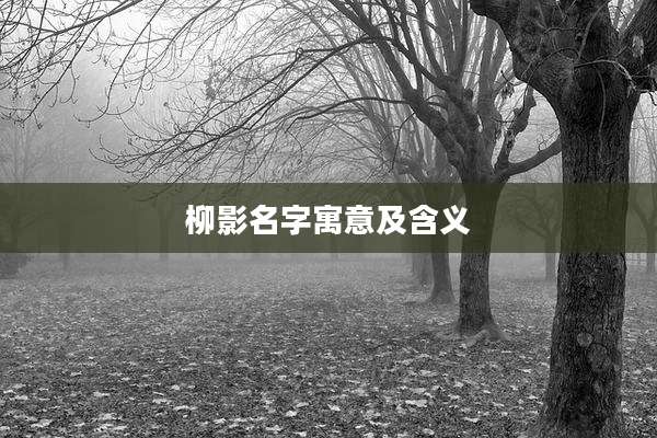 柳影名字寓意及含义