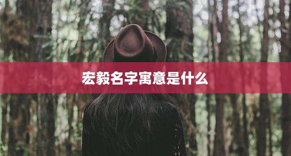 宏毅名字寓意是什么