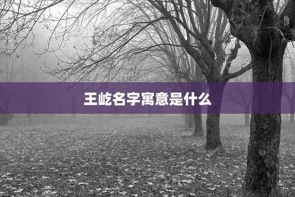 王屹名字寓意是什么