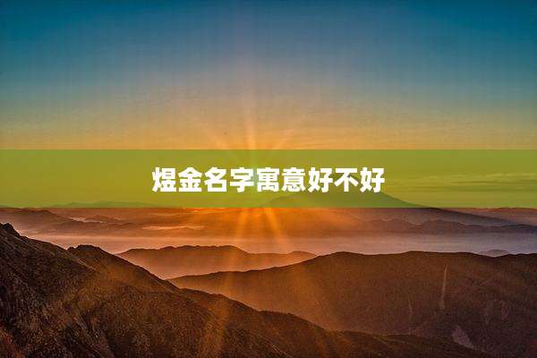 煜金名字寓意好不好