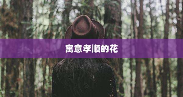 寓意孝顺的花