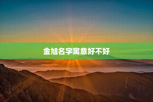金旭名字寓意好不好