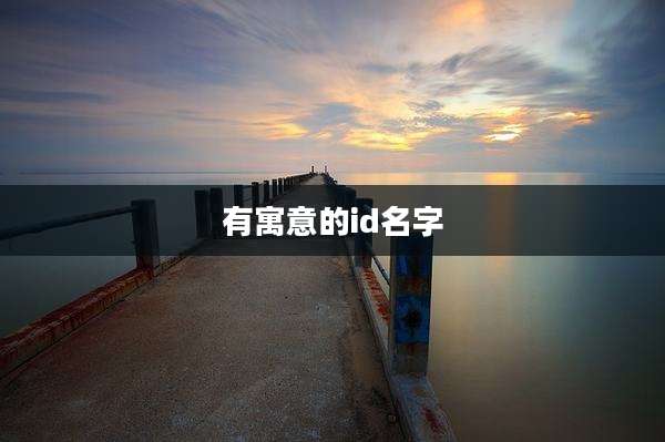 有寓意的id名字