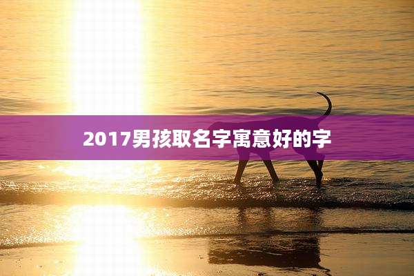 2017男孩取名字寓意好的字