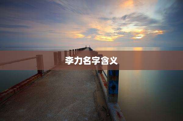 李力名字含义