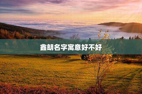 鑫朗名字寓意好不好