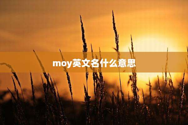 moy英文名什么意思