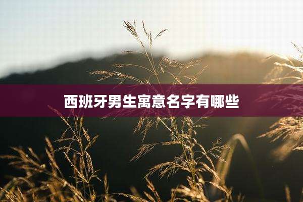 西班牙男生寓意名字有哪些