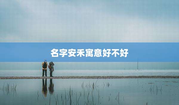 名字安禾寓意好不好