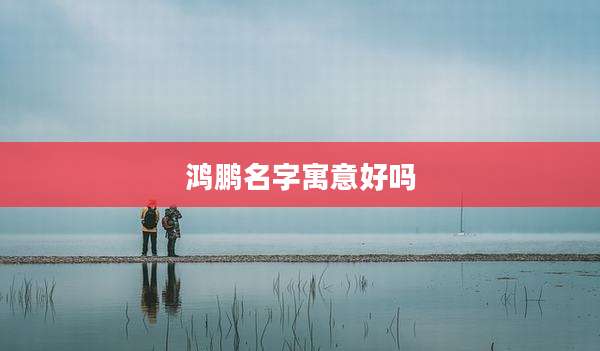 鸿鹏名字寓意好吗
