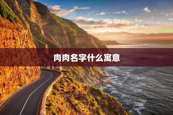 肉肉名字什么寓意