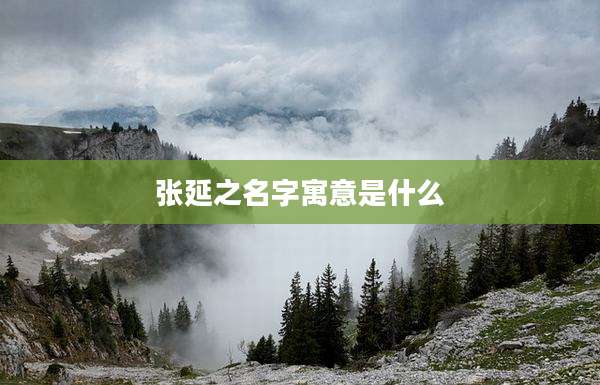 张延之名字寓意是什么