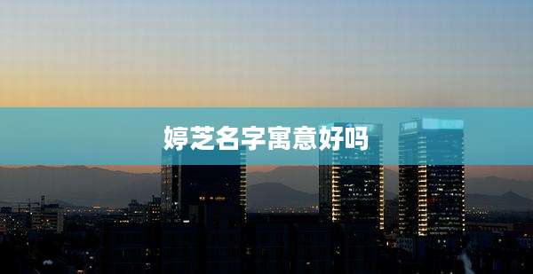 婷芝名字寓意好吗