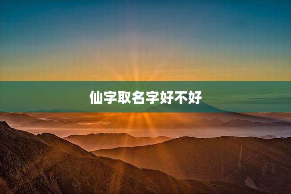 仙字取名字好不好