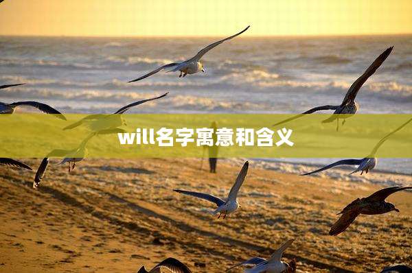 will名字寓意和含义