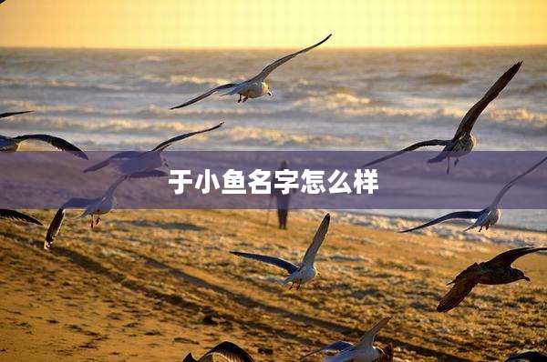 于小鱼名字怎么样