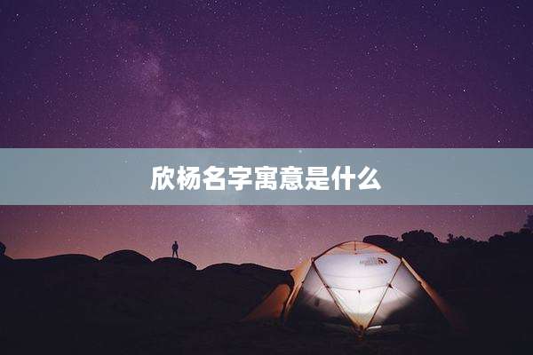 欣杨名字寓意是什么