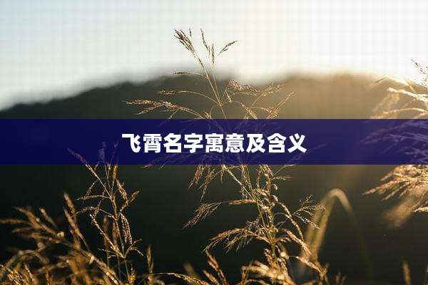 飞霄名字寓意及含义