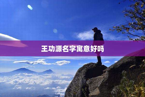 王功源名字寓意好吗