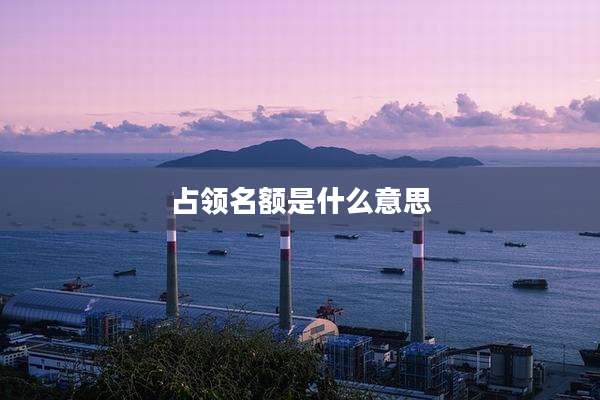 占领名额是什么意思