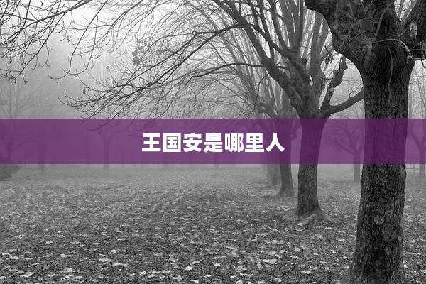 王国安是哪里人