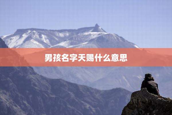 男孩名字天赐什么意思