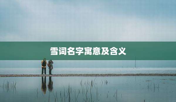 雪词名字寓意及含义