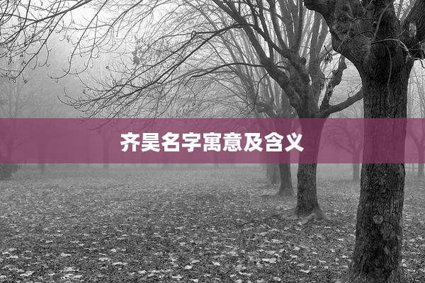 齐昊名字寓意及含义