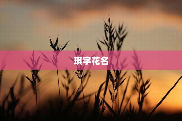 琪字花名