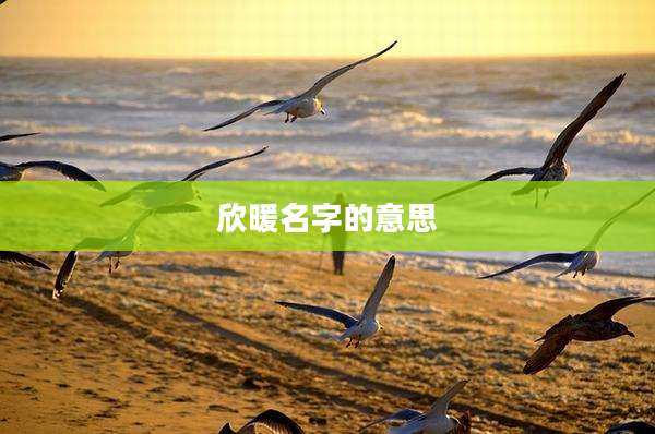 欣暖名字的意思