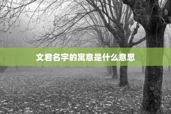 文君名字的寓意是什么意思
