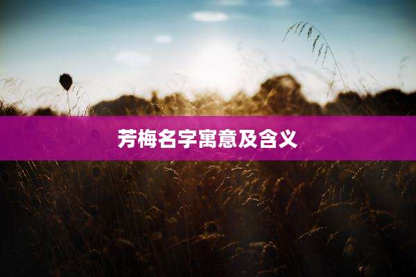 芳梅名字寓意及含义