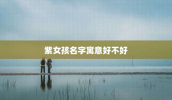 紫女孩名字寓意好不好